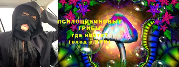 дурь Арсеньев