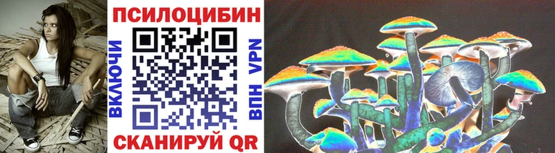 где купить   Бирюсинск  Галлюциногенные грибы мухоморы 