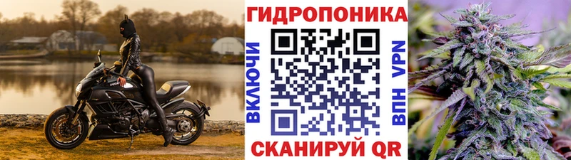 Канабис OG Kush kraken Бирюсинск закладки